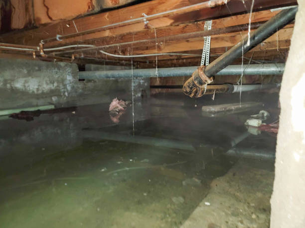 Best Residential Water Damage Restoration in Avery Creek, NC